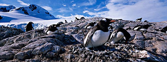 《星际战甲》全新资料片“新纪之战”将于12月上线