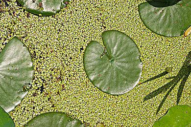 《恶意不息》CEO再次用中文表示歉意 希望大家给好评